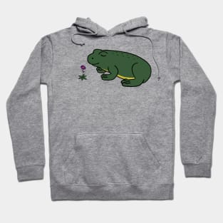 Peaceful Frog Hoodie